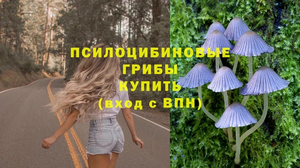 прущая мука Арсеньев